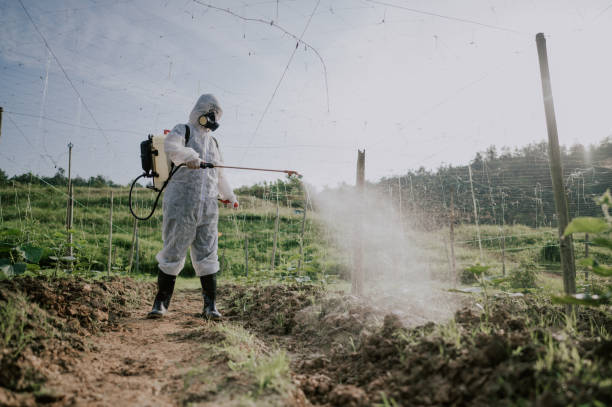 Best Mosquito Control Services  in Stanberry, MO