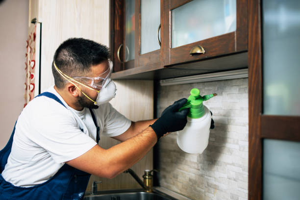 Best Pest Control Treatment  in Stanberry, MO