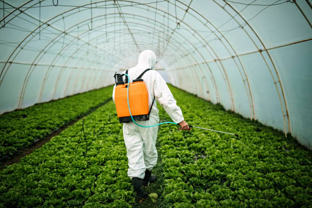 Best Mosquito Control Services  in Stanberry, MO