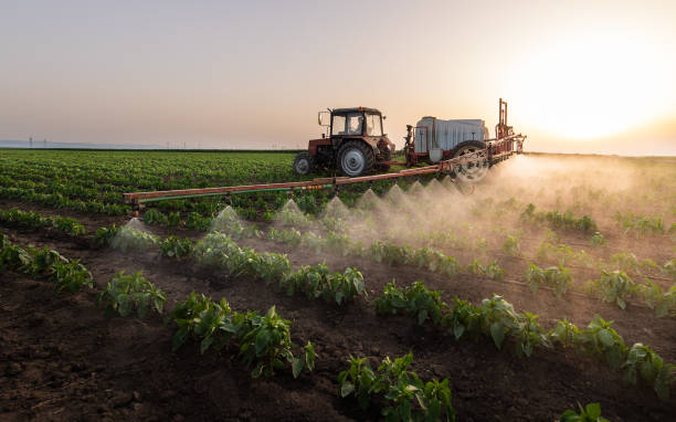 Best Pest Inspection Near Me  in Stanberry, MO