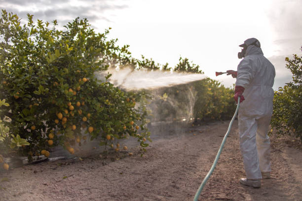 Best Insect Control  in Stanberry, MO