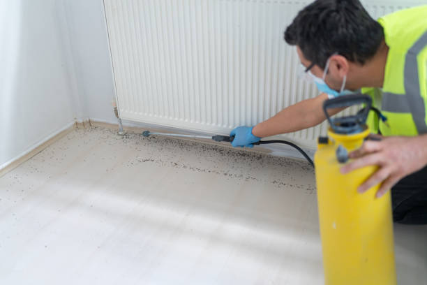 Pest Prevention Services in Stanberry, MO